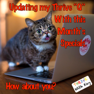 Lil Bub Updating Q